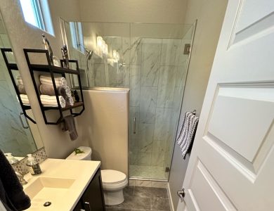 Blackstone Guest Bathroom Remodel (Gilia)